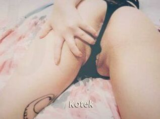 Kotek