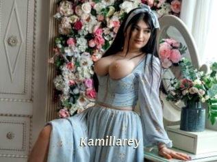 kamillarey Blog éjac