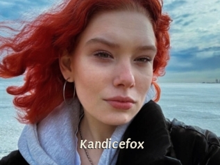 Kandicefox