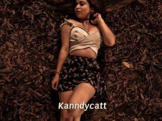 Kanndycatt