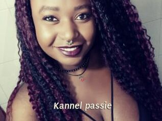 Kannel_passie