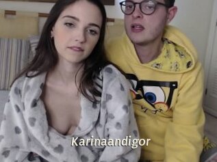 Karinaandigor