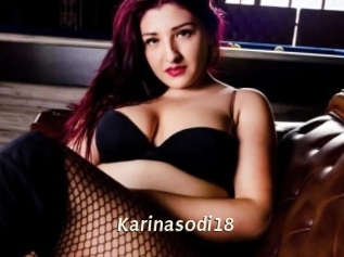 Karinasodi18