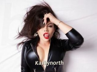 Karllynorth