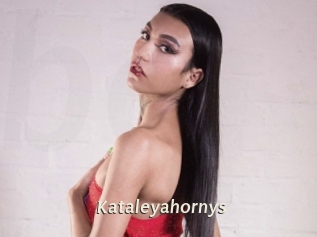 kataleyahornys Blog éjac
