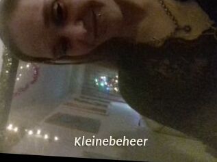 Kleinebeheer