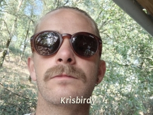 Krisbirdy
