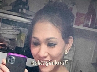 Kulkoginikutifi