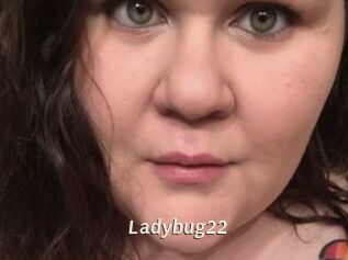Ladybug22