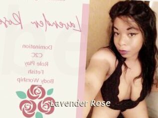 Lavender_Rose
