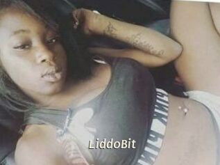 LiddoBit