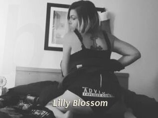 Lilly_Blossom