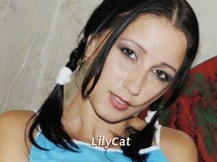 Lily_Cat_