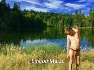 Lincoln_Maize
