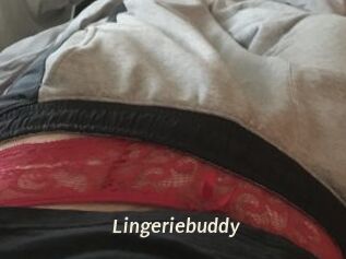 Lingeriebuddy