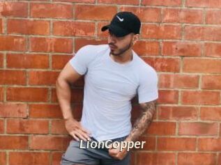 LionCopper Blog éjac
