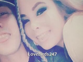 LoveBirds247