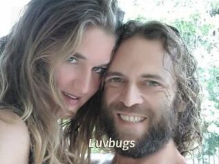 Luvbugs