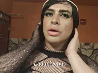 Ladanivenus
