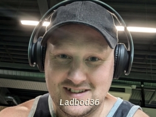 ladbod36 Blog éjac