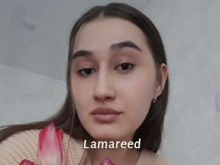 Lamareed