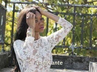 Lapycante