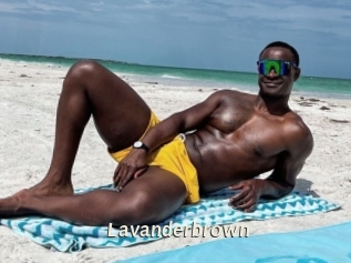 Lavanderbrown
