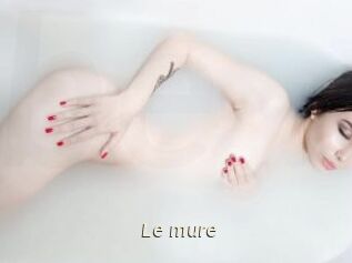 le_mure Blog éjac