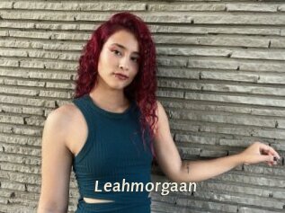 Leahmorgaan