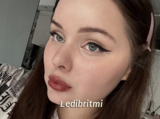 Ledibritmi