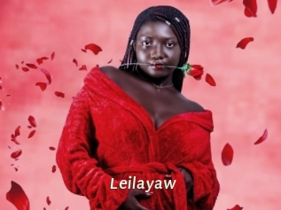 Leilayaw