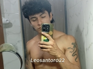 Leosantoro22