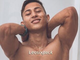 Leosixpack