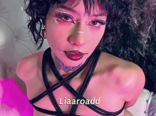 Liaaroadd