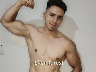 Liam_forest
