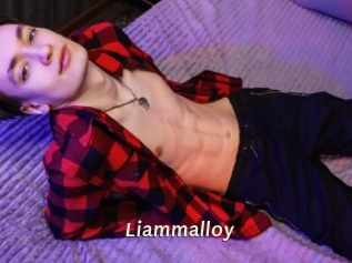 liammalloy Blog éjac
