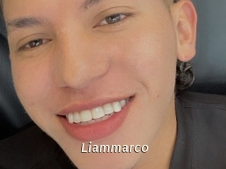 liammarco Blog éjac