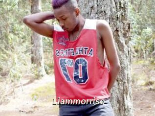 Liammorriso