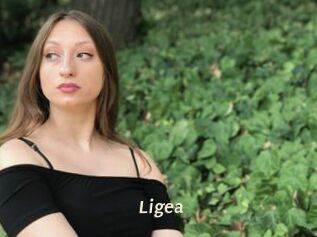 Ligea