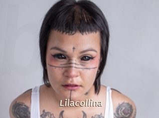 Lilacollina