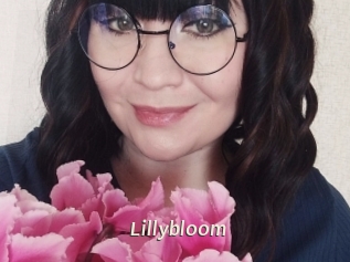 lillybloom Blog éjac
