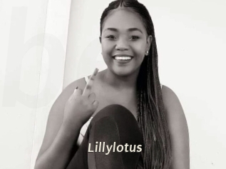 Lillylotus