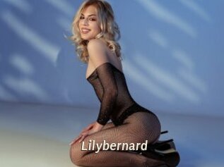 Lilybernard