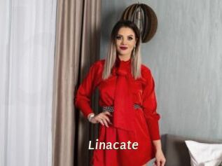 linacate Blog éjac