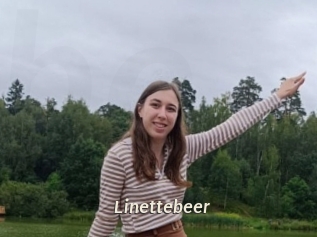 Linettebeer
