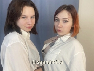 Lisaandmika