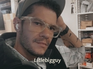 Litlebigguy