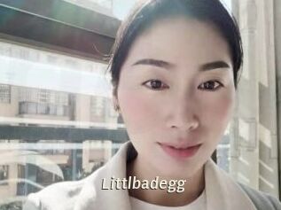 Littlbadegg