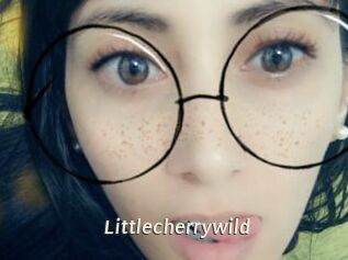 littlecherrywild Blog éjac