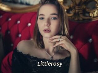 littlerosy Blog éjac
